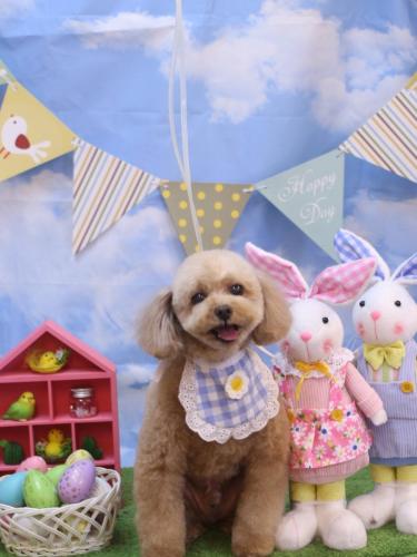 20240305バーディーくん